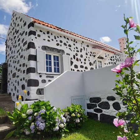 Vivenda Flores - Casa Hortensia Lomba  Esterno foto